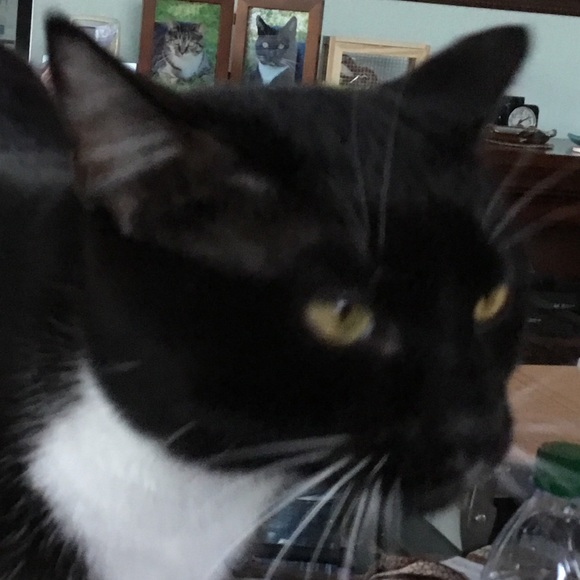 Meet your Posher, Cathy - Picture 1 of 1